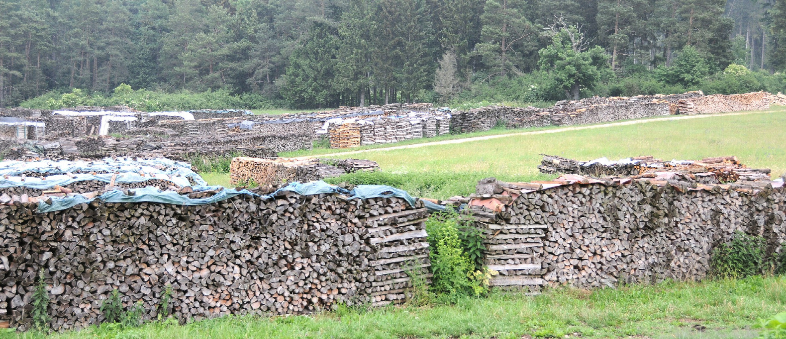 Holzwirtschaft