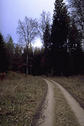 #3: View south from confluence 49°N 11°E