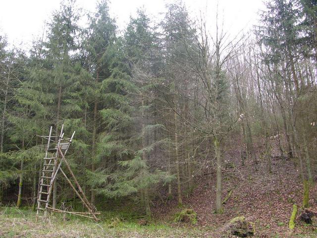 View to the confluence point / Blick zum Confluence Punkt