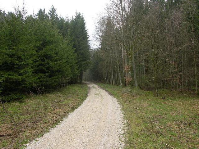 View from the confluence to the north / Blick vom Confluence Punkt nach Norden