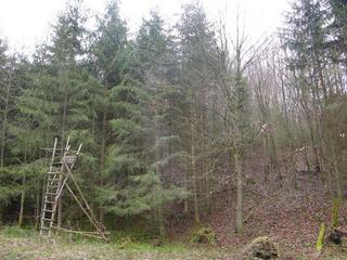 #1: View to the confluence point / Blick zum Confluence Punkt