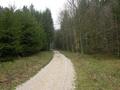 #2: View from the confluence to the north / Blick vom Confluence Punkt nach Norden