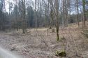 #6: View west