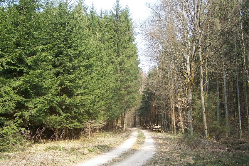 View towards N from the confluence