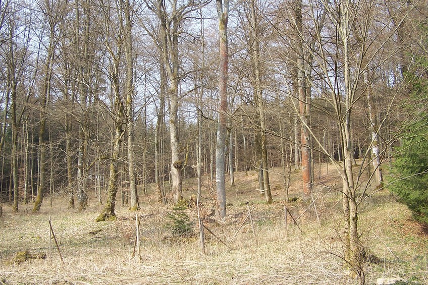 View towards W from the confluence