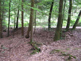 #1: Confluence of 49 North 12 East, looking south.