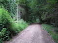 #5: Road that runs just barely south of the confluence, looking west.