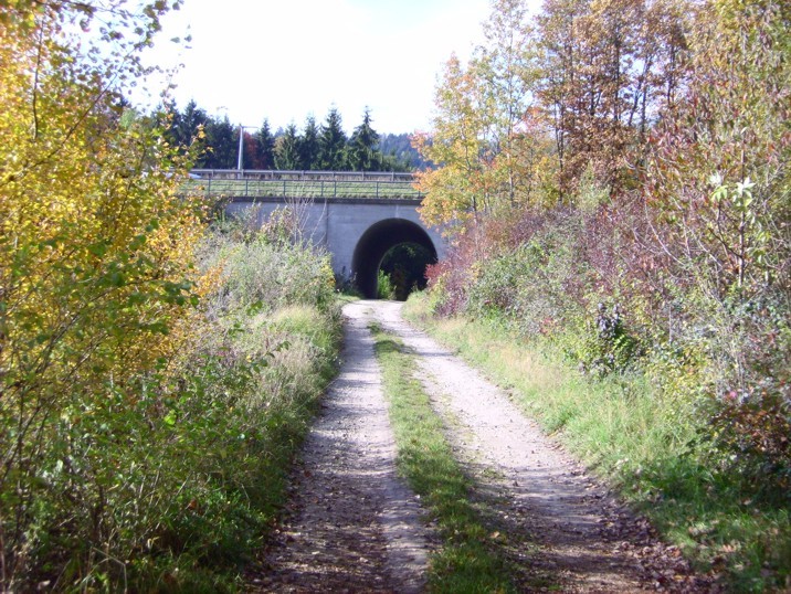 Tunnel, der unter der Autobahn hindurchführt auf dem Weg / Tunnel under the motorway
