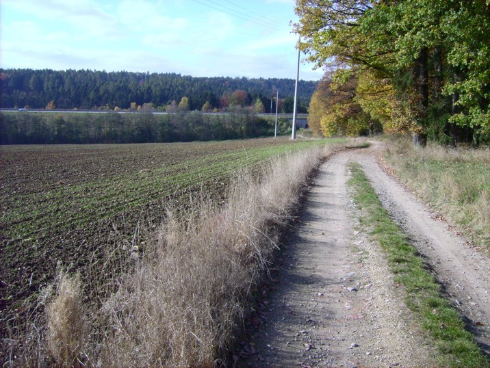 Auf dem Weg zum Cache / On the way to the point