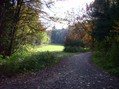 #3: Kreuzung vor dem Cache, an dem es in den Wald geht / Crossing before entering the forest