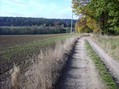 #5: Auf dem Weg zum Cache / On the way to the point