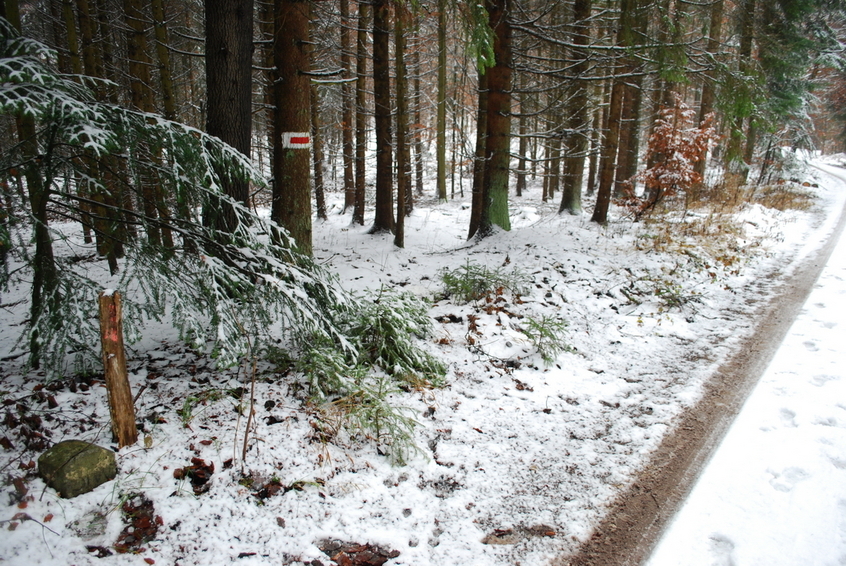 Location of CP 49N 12E from a distance of 20 m