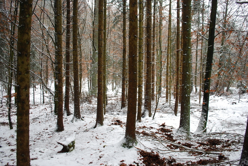 View to East