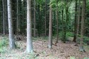 #2: View to the north / Вид на север