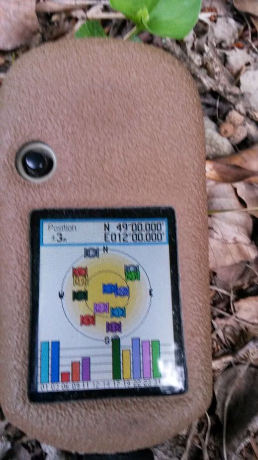 GPS Reading