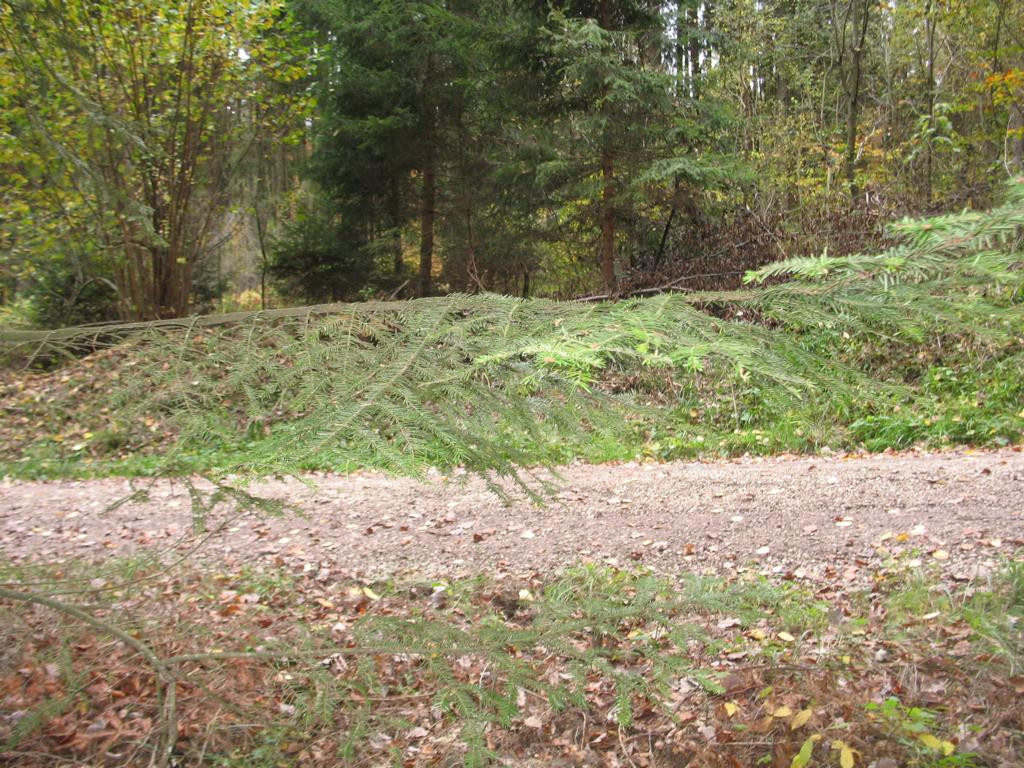 Süden; view south