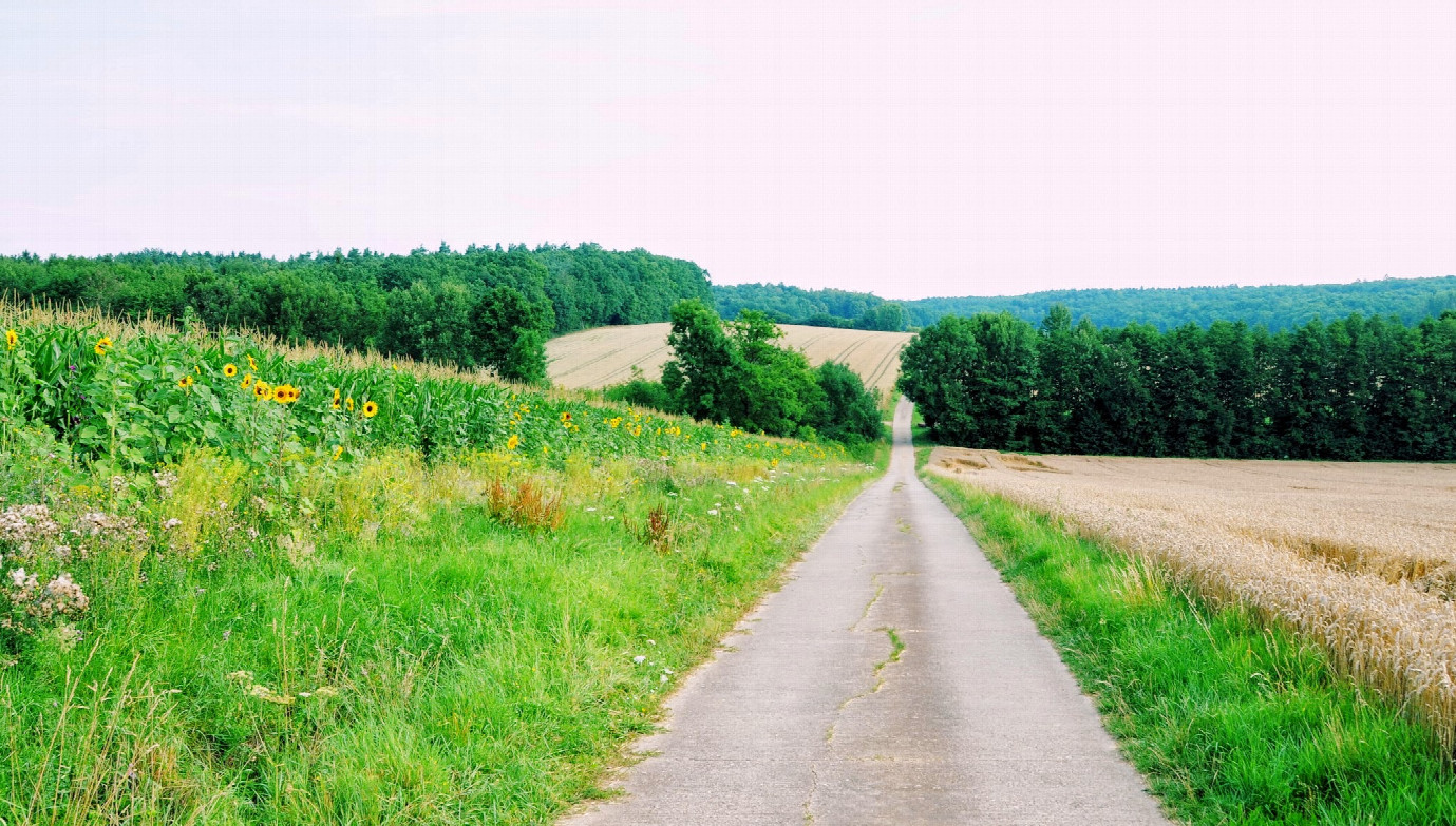 schön zum Wandern 2