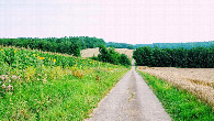 #11: schön zum Wandern 2