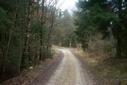 #5: View from the confluence point / Aussicht vom Confluence Punkt