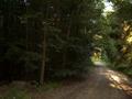 #2: View to the east