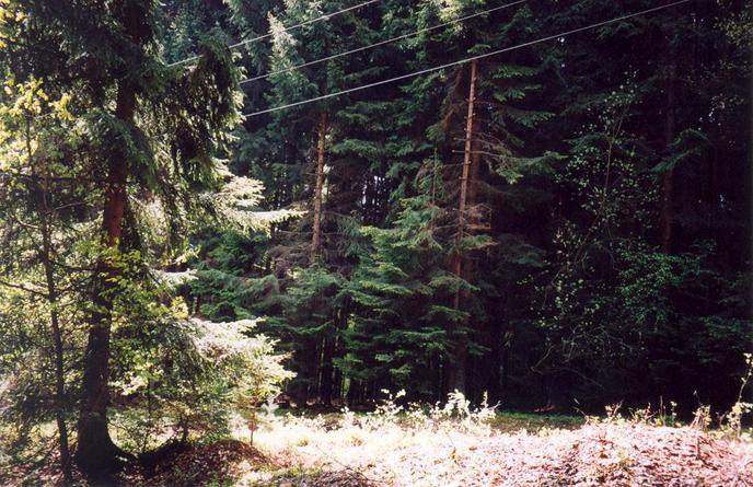 View towards SE from the confluence