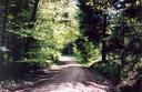 #2: View of the nearby road from the confluence (towards E)