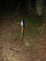 #3: The best stick we could find as a marker