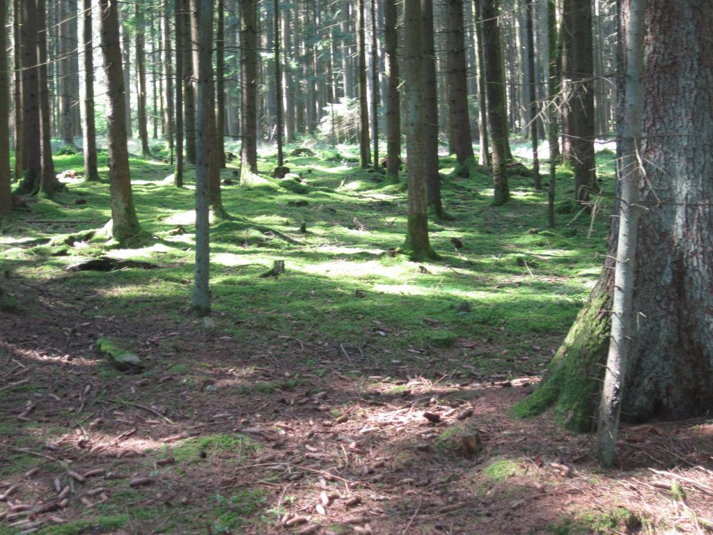 Süden; view south