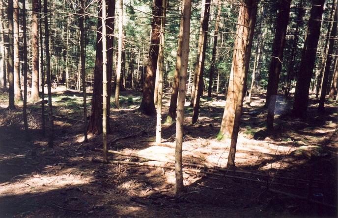 View towards NW from the confluence