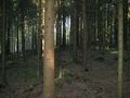#4: view east