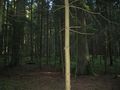 #5: view south