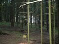 #6: view west