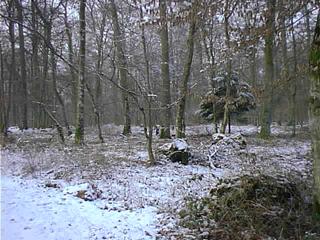 #1: The confluence point (the small tree in the center foreground is the exact spot)