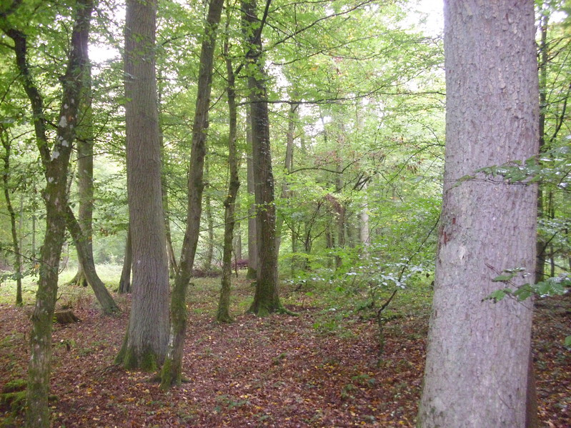 View to the west