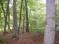 #4: View to the west