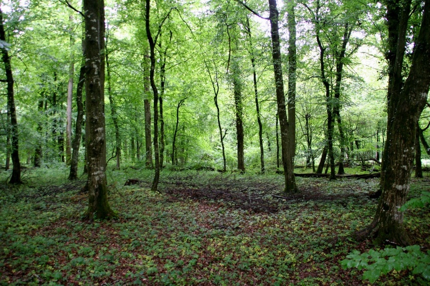 The point and view to the North