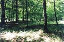 #4: West Looking