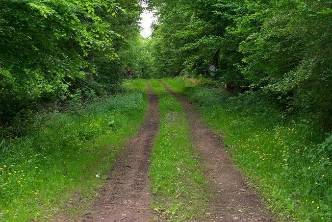 The way to the confluence / Der Weg zum Confluence Punkt