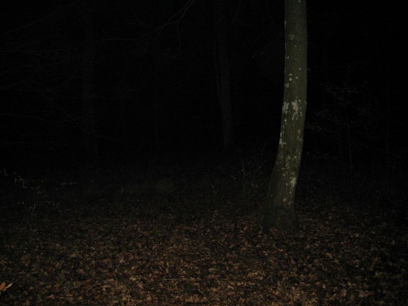 Southern view