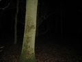 #3: Northern view