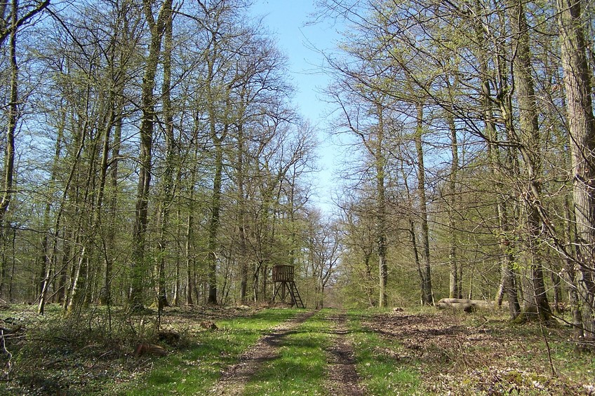 General view of the confluence (towards W)