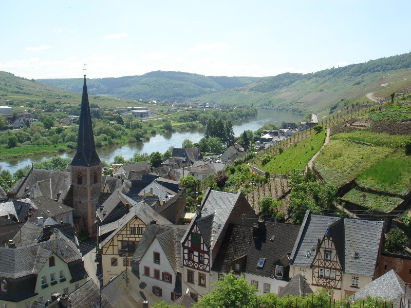 Beautiful Ürzig on River Mosel 