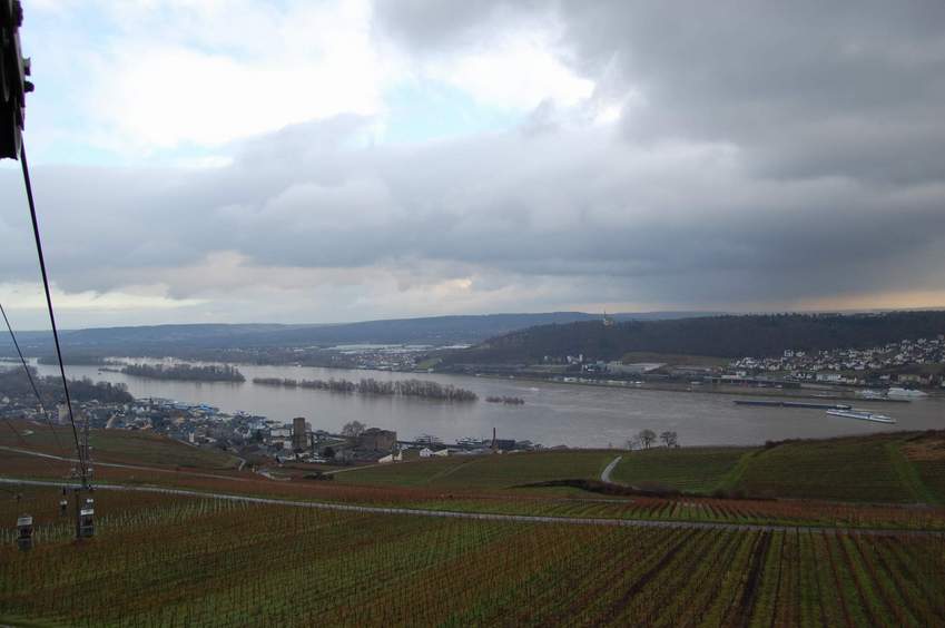 view from cable car down to the Rhine