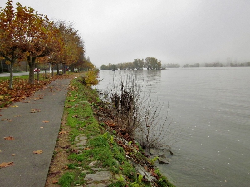 Path along the Rhine river in Oestrich-Winkel