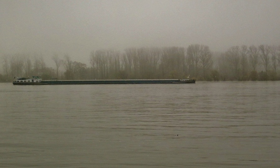 Long barge passing by on the Rhine river