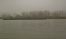 #8: Long barge passing by on the Rhine river
