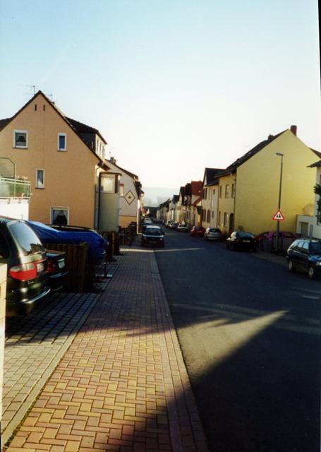 Facing South (the trees in the very center are in the Rhine