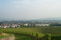 #4: View over Oestrich-Winkel towards the Rhine / Blick über Oestrich-Winkel in Richtung Rhein