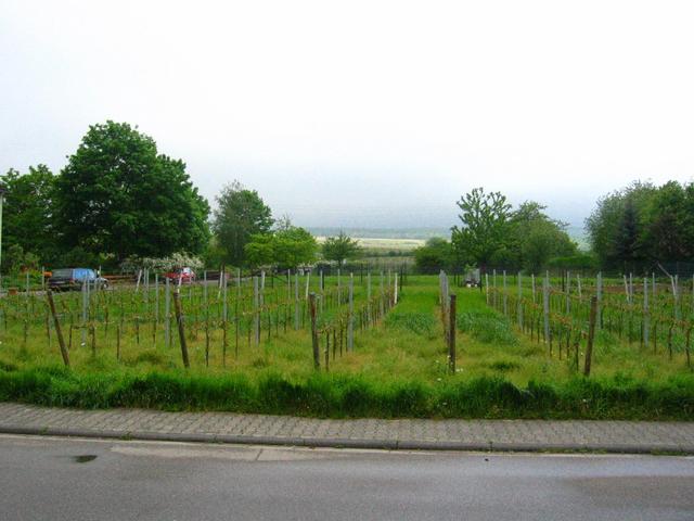 View to the North