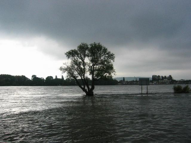 Ferry crossing at High Watermark